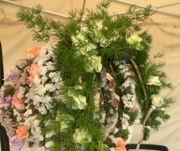 Image 17