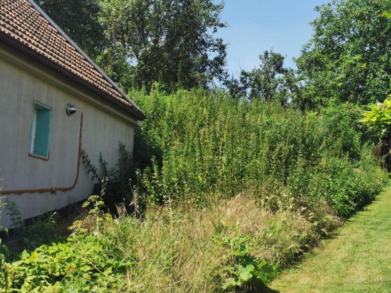 Image 21