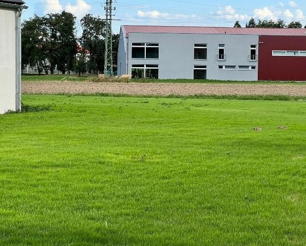 Image 8