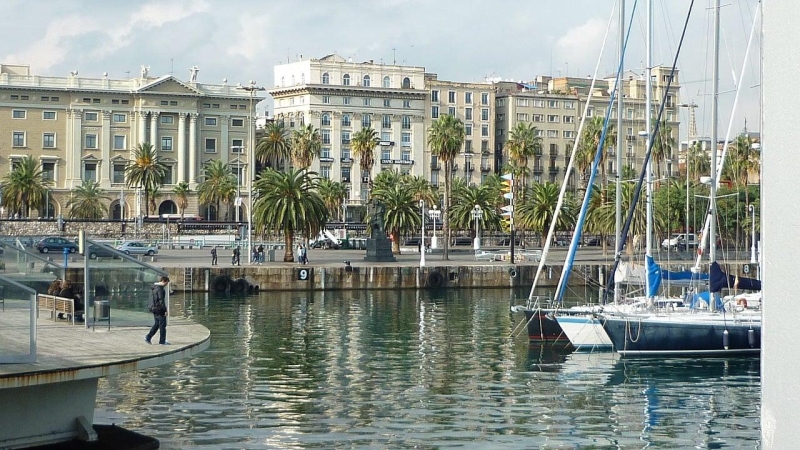 Image 7